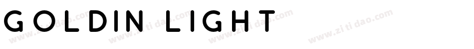 Goldin Light字体转换